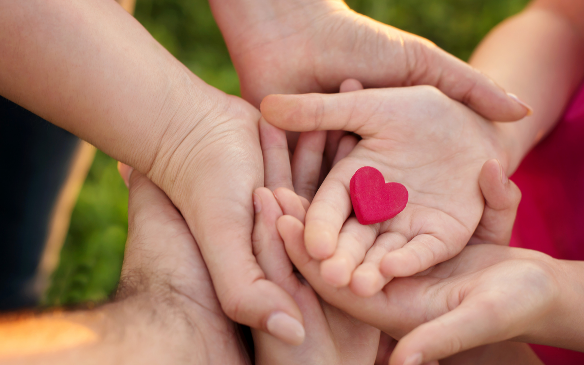 hands holding a heart